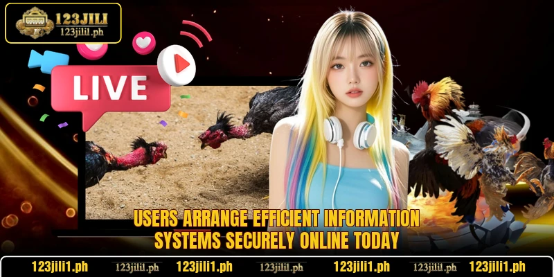 Users arrange efficient information systems securely online today